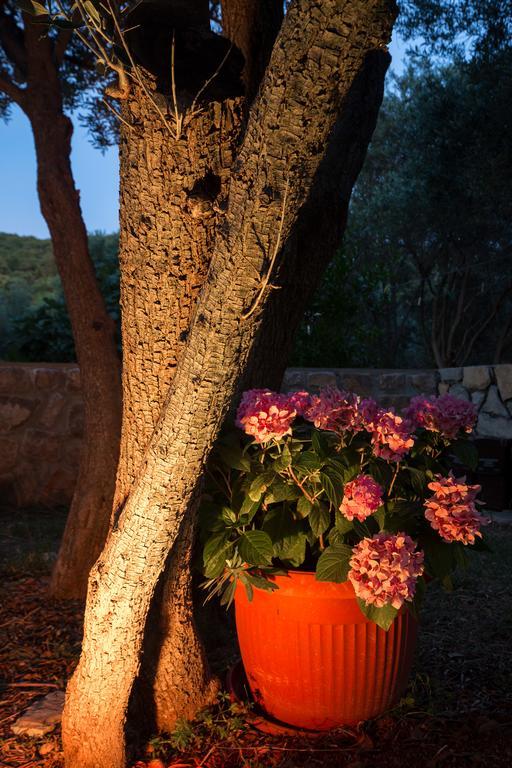 Apartmani Alma Punat Bagian luar foto